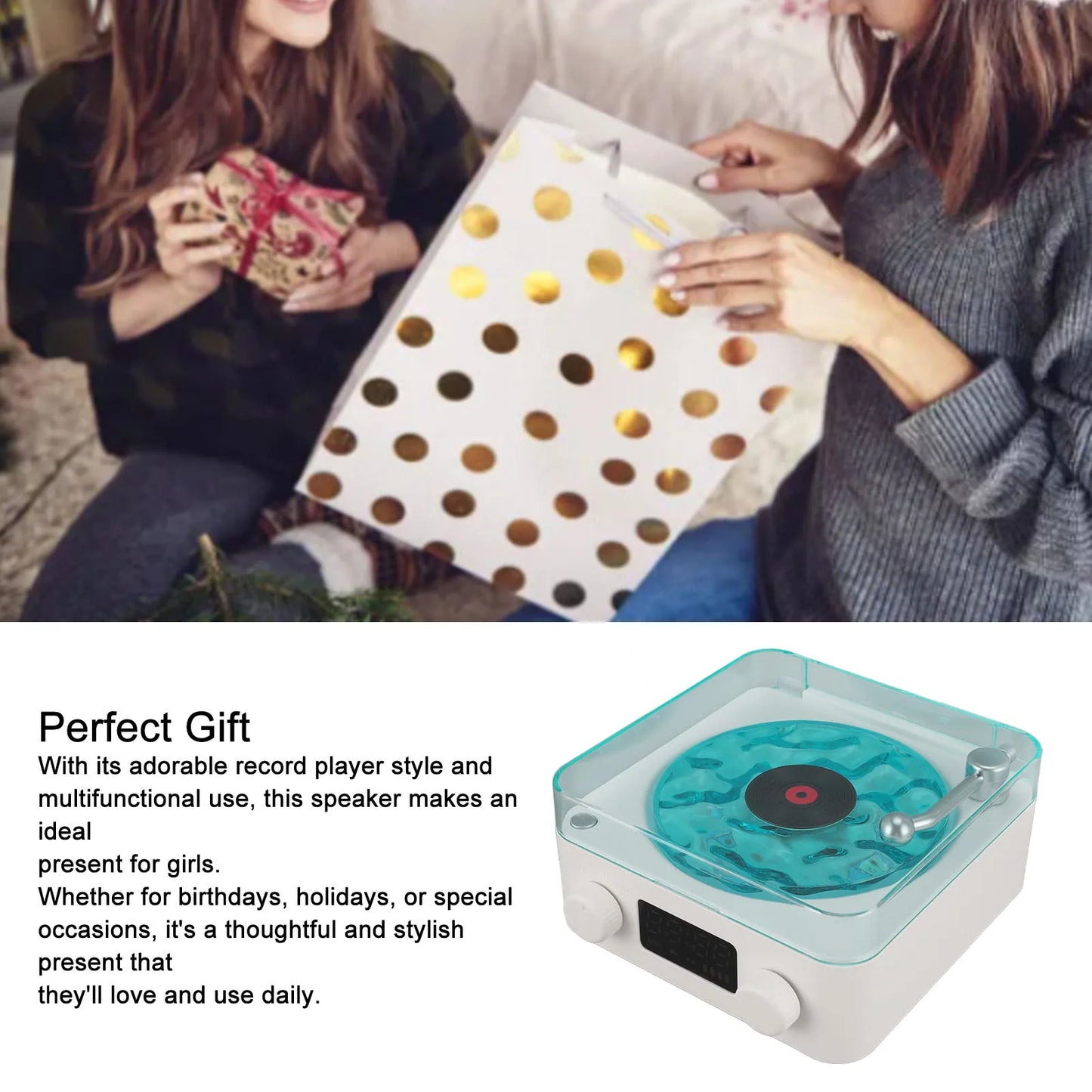 Bluetooth Vinyl speaker